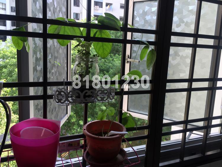 Blk 288D Bukit Batok Street 25 (Bukit Batok), HDB 4 Rooms #149669372